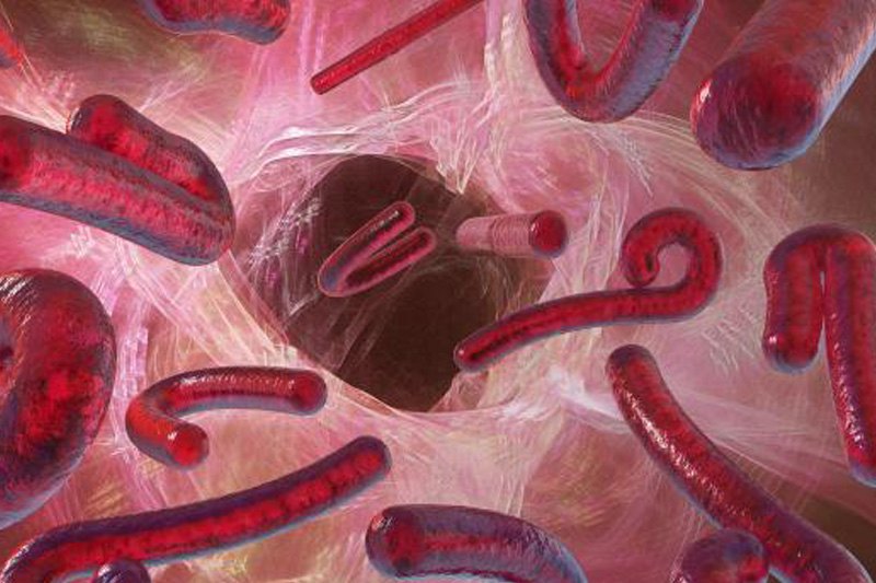 WAEC GCE 2014 Candidates Tested For Ebola Virus