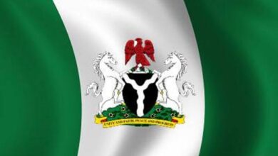 FG to Reconstitute Governing Councils
