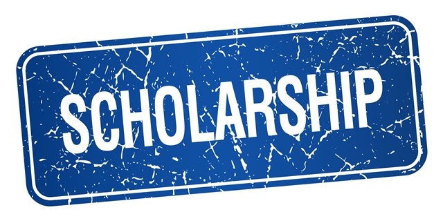 Gani Fawehinmi Annual Scholarship