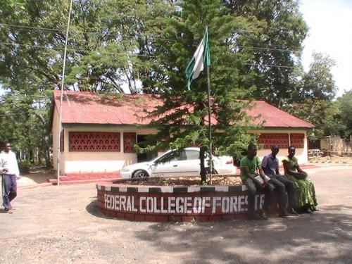 Federal College Of Forestry, Jos Post UTME Form