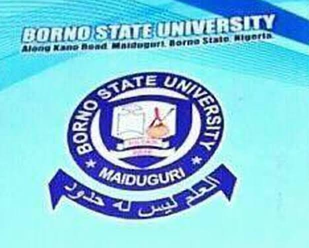 Borno State University Admission List