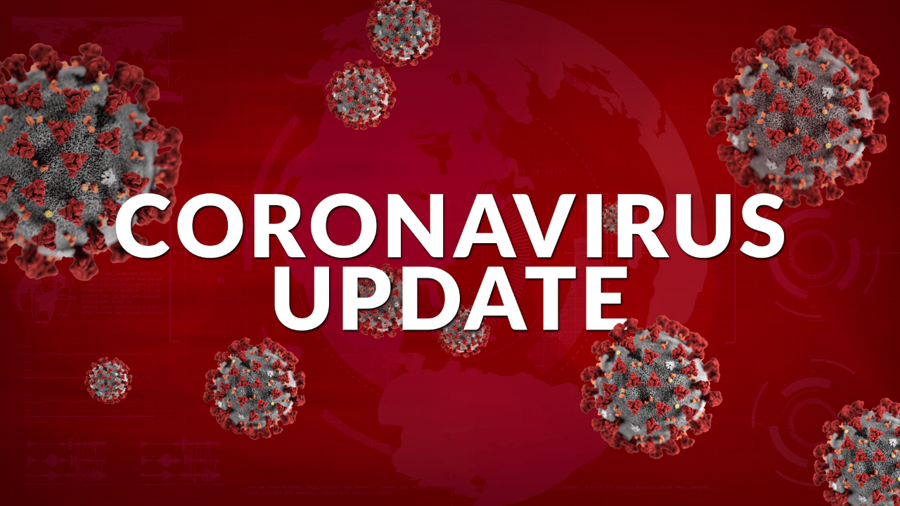 FG Orders Schools Closure Over Coronavirus