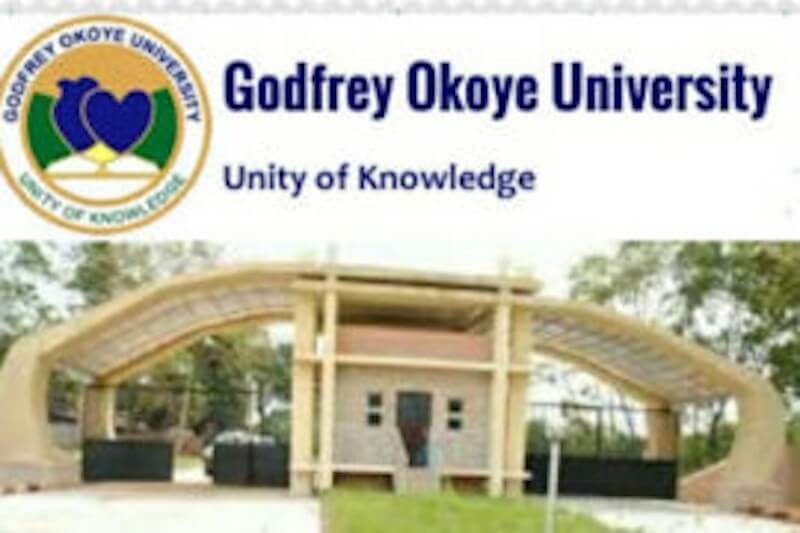 Godfrey Okoye University Commences 2nd Semester 2019/2020 Online