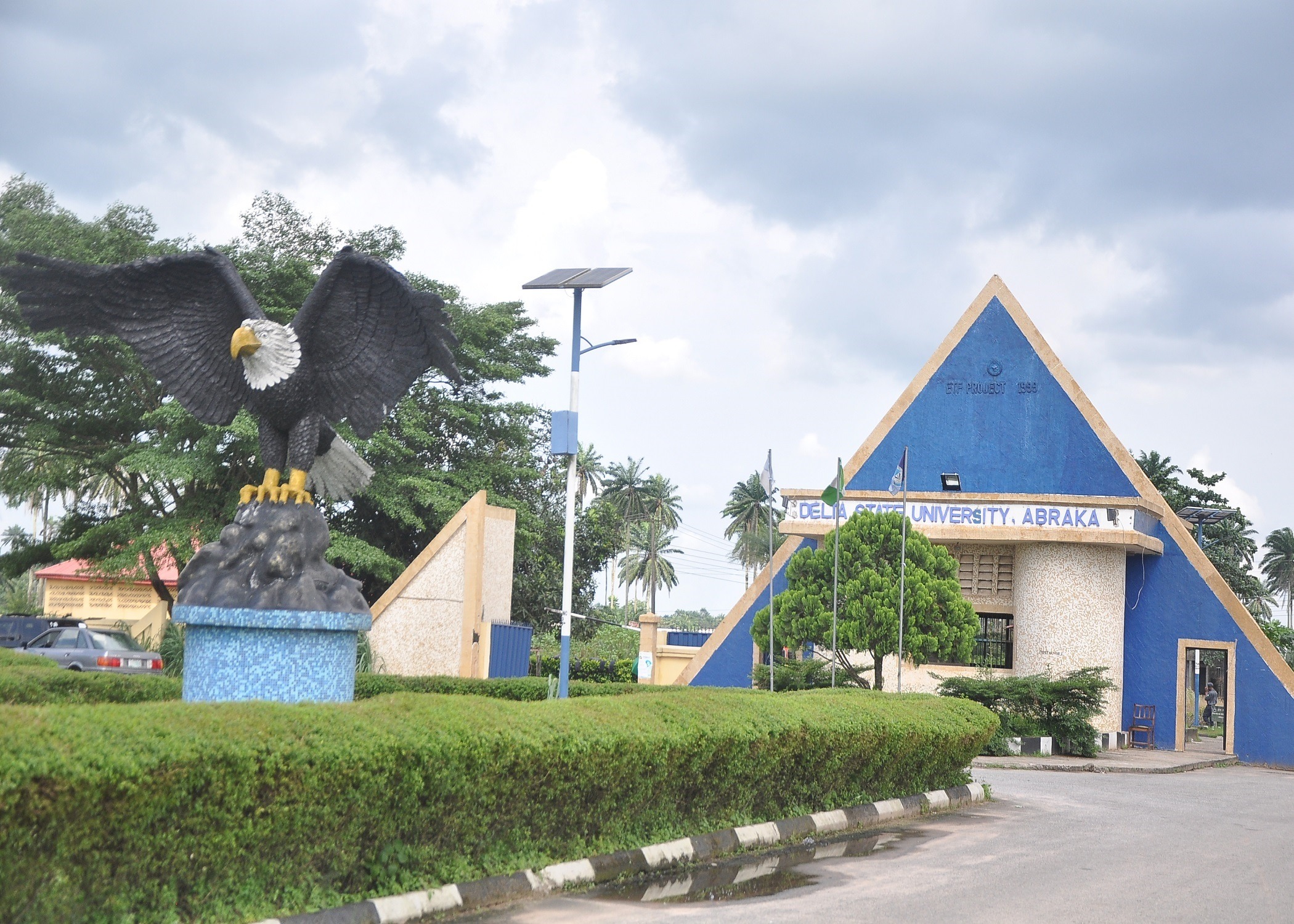 DELSU Part-Time Professional Diploma Admission Form