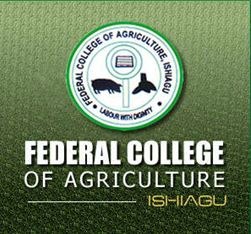 FCA Ishiagu Admission Form