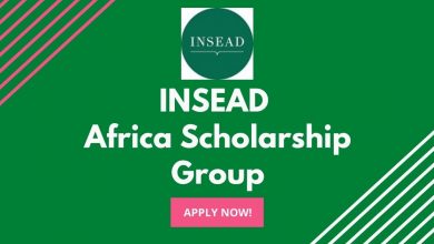 INSEAD Africa Scholarship Group
