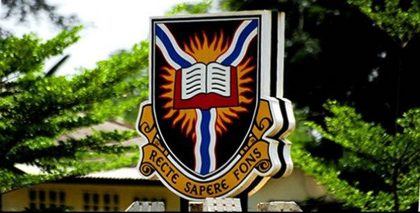 University of Ibadan Distance Learning School Fees