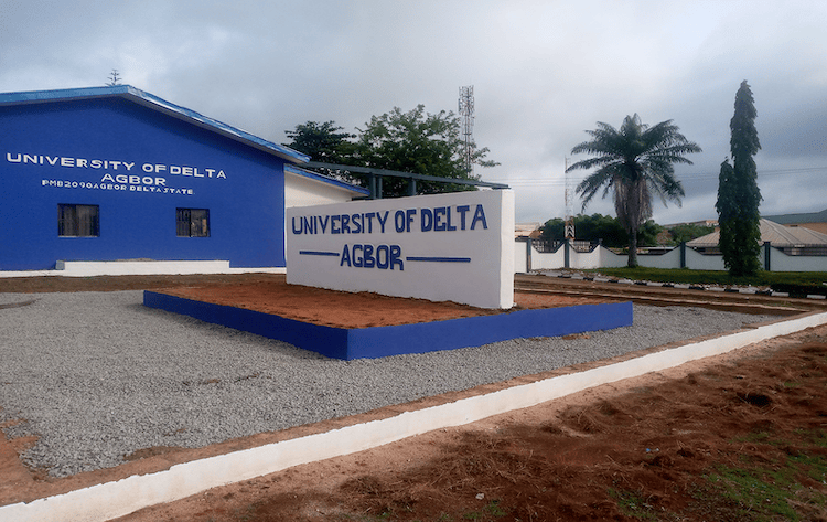 University of Delta Post-UTME Form