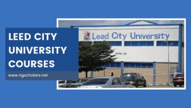 Lead City University Courses