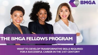 BMGA Fellows Programme