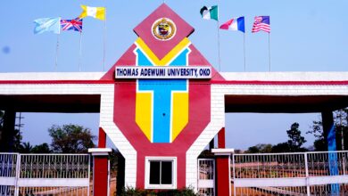 Thomas Adewumi University Fees and Levy