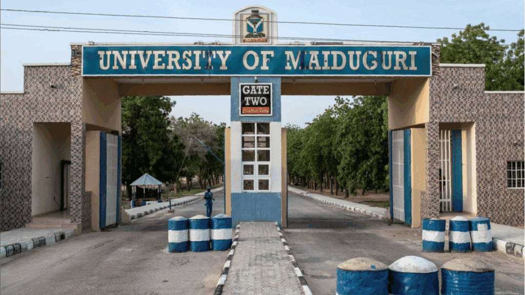 University of Maiduguri Renamed After Buhari