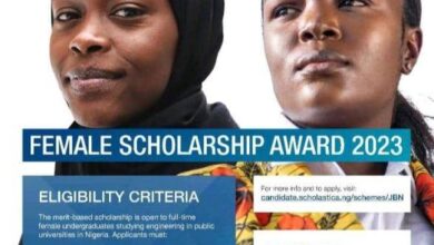 Julius Berger Scholarship